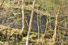 Quarry and retaining wall, April 2011