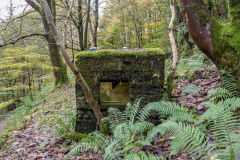 
Ruins near the Ivorites, November 2013