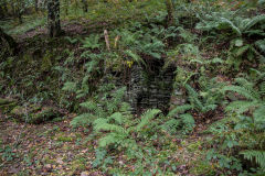 
Ruins near the Ivorites, November 2013