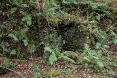 
Ruins near the Ivorites, November 2013