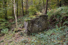 
Ruins near the Ivorites, November 2013