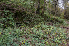 
Ruins near the Ivorites, November 2013