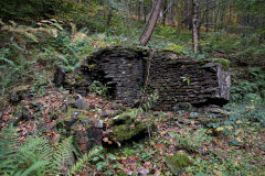Ruins near the Ivorites, November 2013