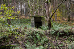 Ruins near the Ivorites, November 2013