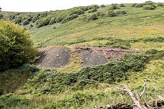 
Gilfach Green spoil tips, August 2015