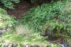 
Upper level, Gilfach Green, August 2015