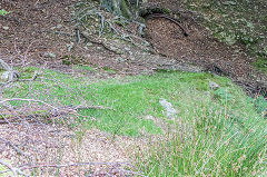 
Lower level, Gilfach Green, September 2015