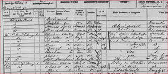 1861 Census of the incline houses
