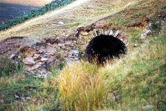 
Hendre Gwyndir level, September 1995, © Photo courtesy of Risca Museum