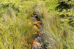 
Hendre Gwyndir rusty stream, September 2015