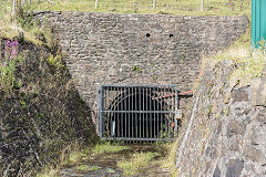 
Llanerch Padarn level, August 2015