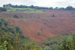 Pentwyn tramway from East bank, October 2010