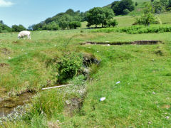 Pullingers Level, Abertillery, July 2013