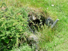 Pullingers Level, Abertillery, July 2013