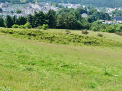 
Incline next to Pullingers Level, Abertillery, July 2013