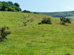 
Incline next to Pullingers Level, Abertillery, July 2013