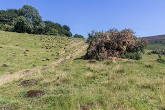 
Incline next to Pullingers Level, Abertillery, August 2020