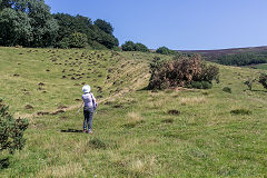 
Incline next to Pullingers Level, Abertillery, August 2020