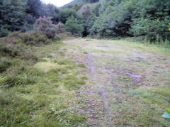 
Rhiw Colbren Colliery, Cyril Place, Abertillery, July 2010