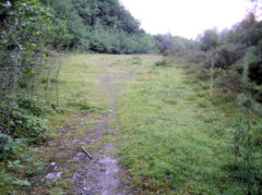 
Rhiw Colbren Colliery, Cyril Place, Abertillery, July 2010