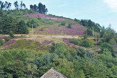 Rhiw Park quarry at SO 2201 0412, September 2015
