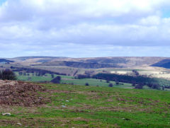 
Arail tip reclamation from Manmoel, Six Bells, July 2009