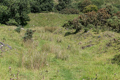 Tillery Level, Abertillery, August 2008