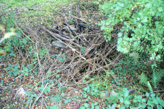 
Ton-tyr-bel shaft, Trinant Colliery, October 2010