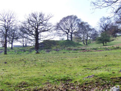 Llanerch-Isaf Northern level, Trinant, October 2010