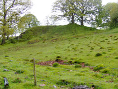 Llanerch-Isaf Northern level, Trinant, October 2010