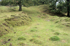 Llanerch-Isaf Northern level, Trinant, October 2010