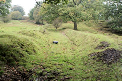 Llanerch-Isaf Northern level, Trinant, October 2010