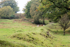 
Llanerch-Isaf Northern level, Trinant, October 2010