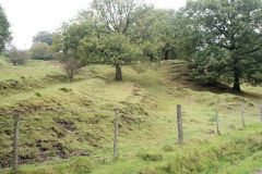 Llanerch-Isaf Northern level, Trinant, October 2010