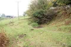 
Llanerch-Isaf Northern level, Trinant, October 2010