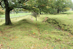 Llanerch-Isaf Northern level, Trinant, October 2010