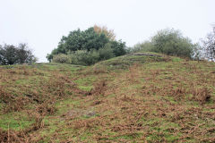Llanerch-Isaf Southern level, Trinant, October 2010
