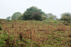 Llanerch-Isaf Southern level, Trinant, October 2010