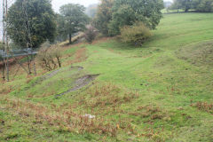 Llanerch-Isaf Southern level, Trinant, October 2010