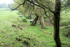 Llanerch-Isaf Southern level, Trinant, October 2010