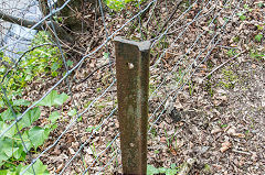 
An old rail on Trinant incline, April 2017