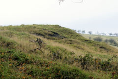 
Ty Dafydd level tips, open c1920, Six Bells, October 2010