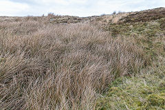 Blaen Clydach Redvein Level, November 2019