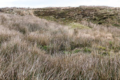 Blaen Clydach Redvein Level, November 2019