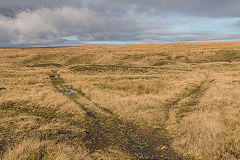 Blaen Clydach Western level tramway, November 2019