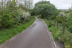 The rough course of the Disgwylfa Tramroad between Brynmawr and Nantyglo passing Winches Pit, May 2019