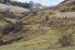 Possibly the Disgwylfa Tramroad near Rhas Fach, March 2019