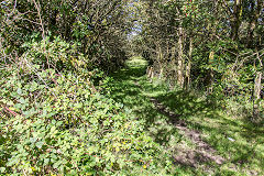 Disgwylfa Tramroad heads for the bridge over the Clydach, Brynmawr, September 2019