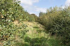 The GWR trackbed to Nantyglo, September 2019