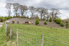 
Penllywn tips below Ty Mawr, Nantyglo, April 2015